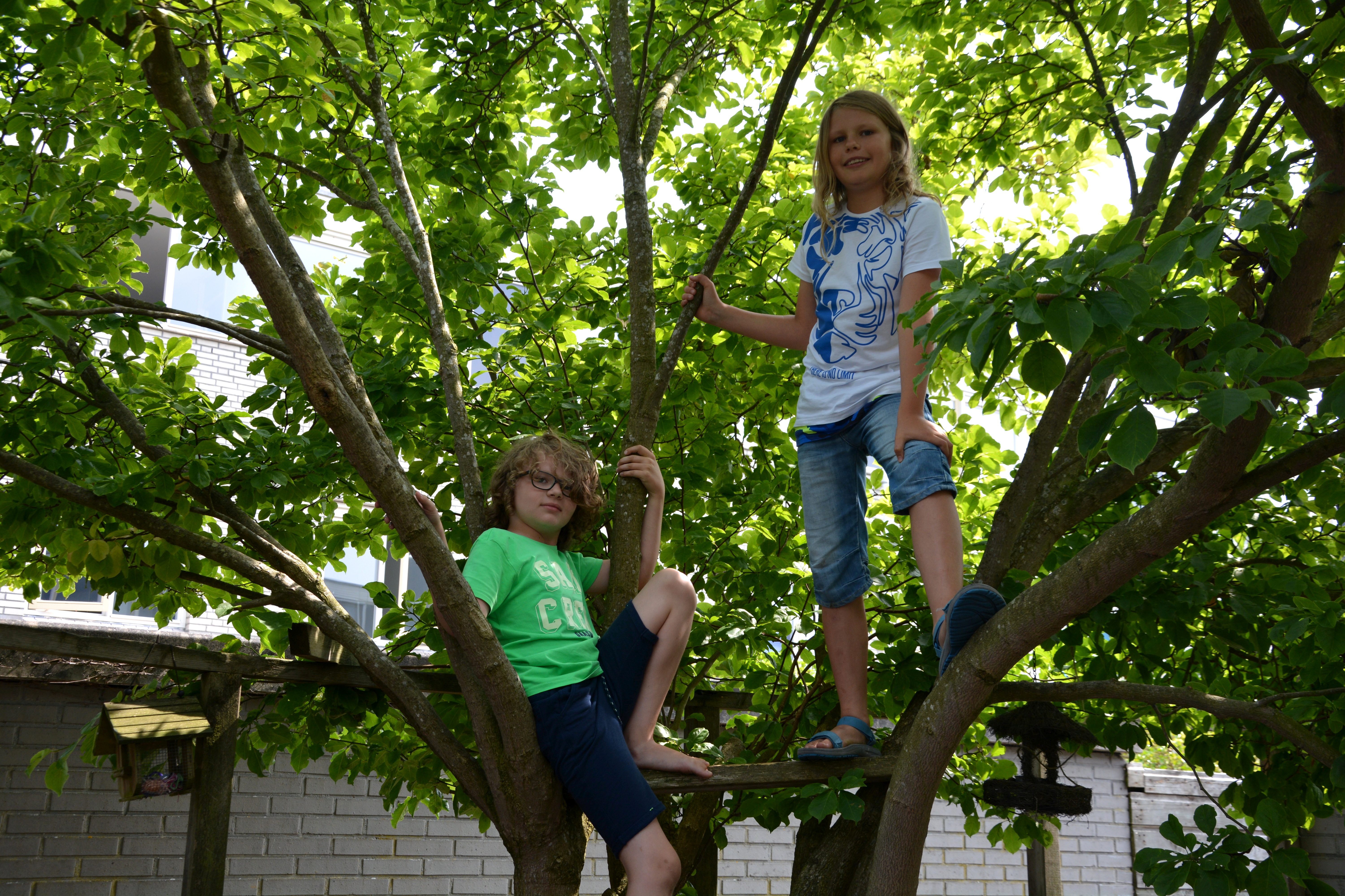 Een waslijst aan sporten 